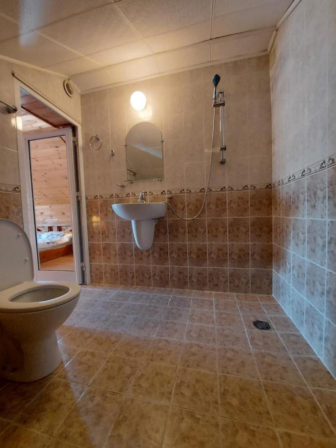 Vasi Apartments Dobrinishte Luaran gambar